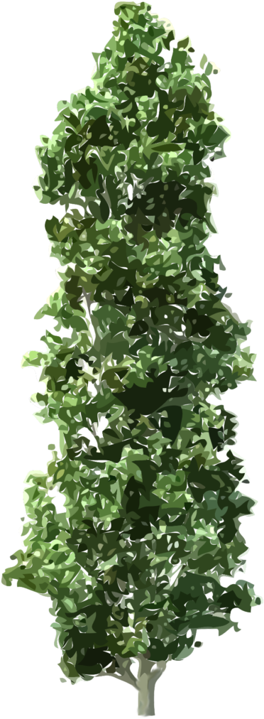 Tree Png Download - Transparent Background Trees (374x1020), Png Download