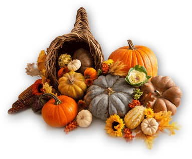 I Hope You're Enjoying This Most Wonderful Time Of - Thanksgiving (383x317), Png Download