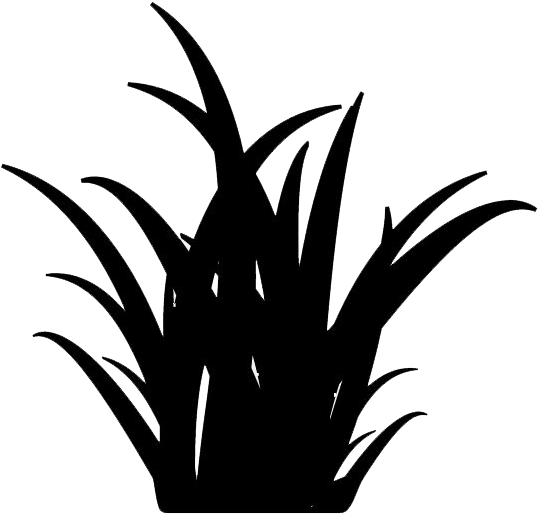 Long-term - Black Grass Icon Png (690x638), Png Download
