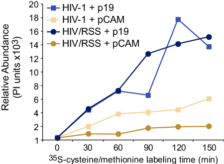 Tat Is The Viral Rss And The Plant Viral Rss P19 Can - Virus (450x330), Png Download