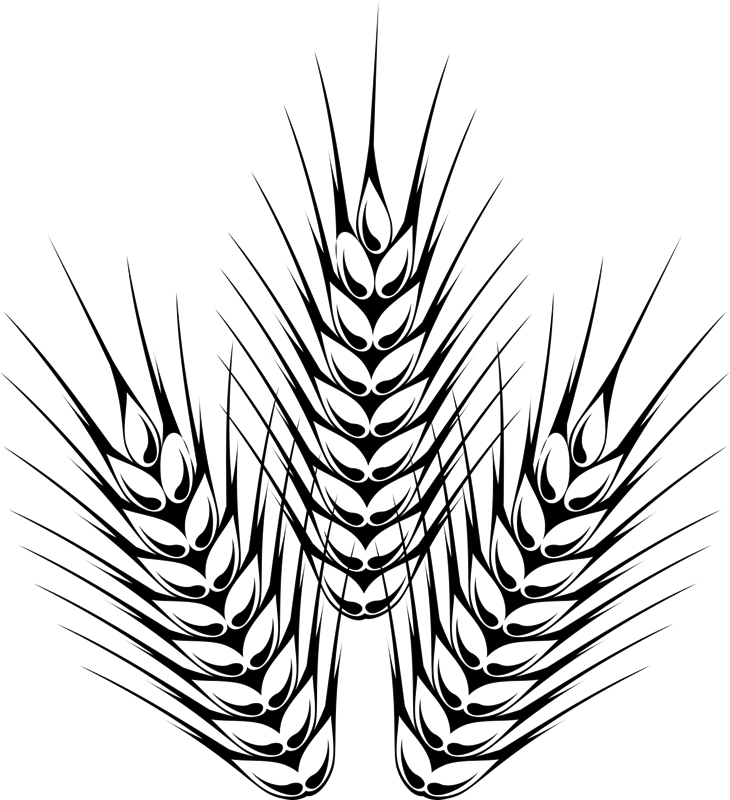 Barley Outline Rubber Stamp Beer Amp Brewery Stamps - Beer (730x800), Png Download