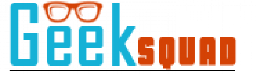 Geek Squad Support - Portable Network Graphics (861x250), Png Download