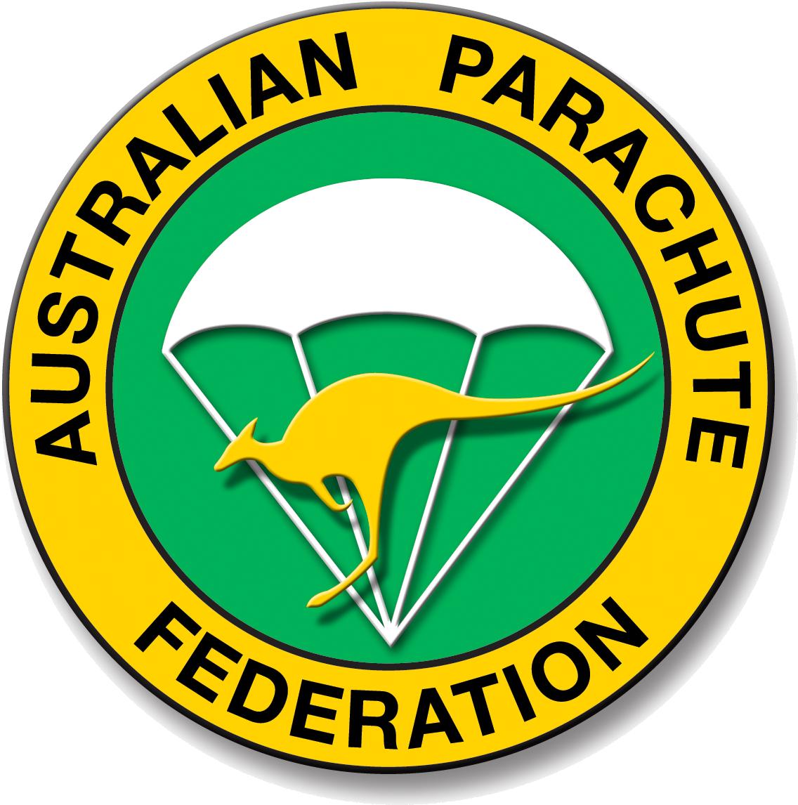 Apf Colour 3d Logo Full Resolution 1240 X 1240px - Disco Strobo Per Giradischi (1240x1240), Png Download