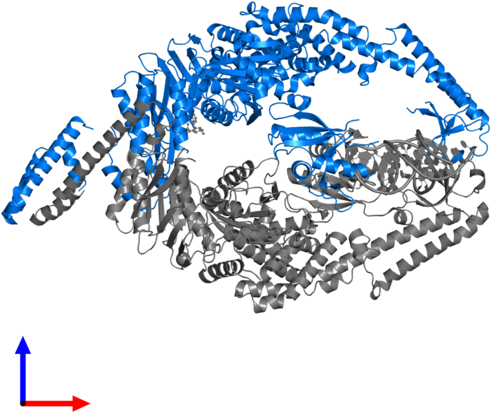 <div Class='caption-body'>pdb Entry 3thx Contains 1 - Graphic Design (800x800), Png Download