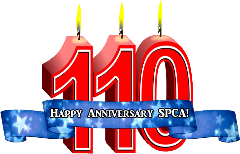 Since 1907 The Spca Has Been Proud To Promote Animal - Spca Of Winchester, Frederick & Clarke Counties (791x522), Png Download