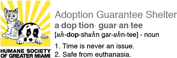 Humane Society Of Miami - Humane Society Miami (588x240), Png Download