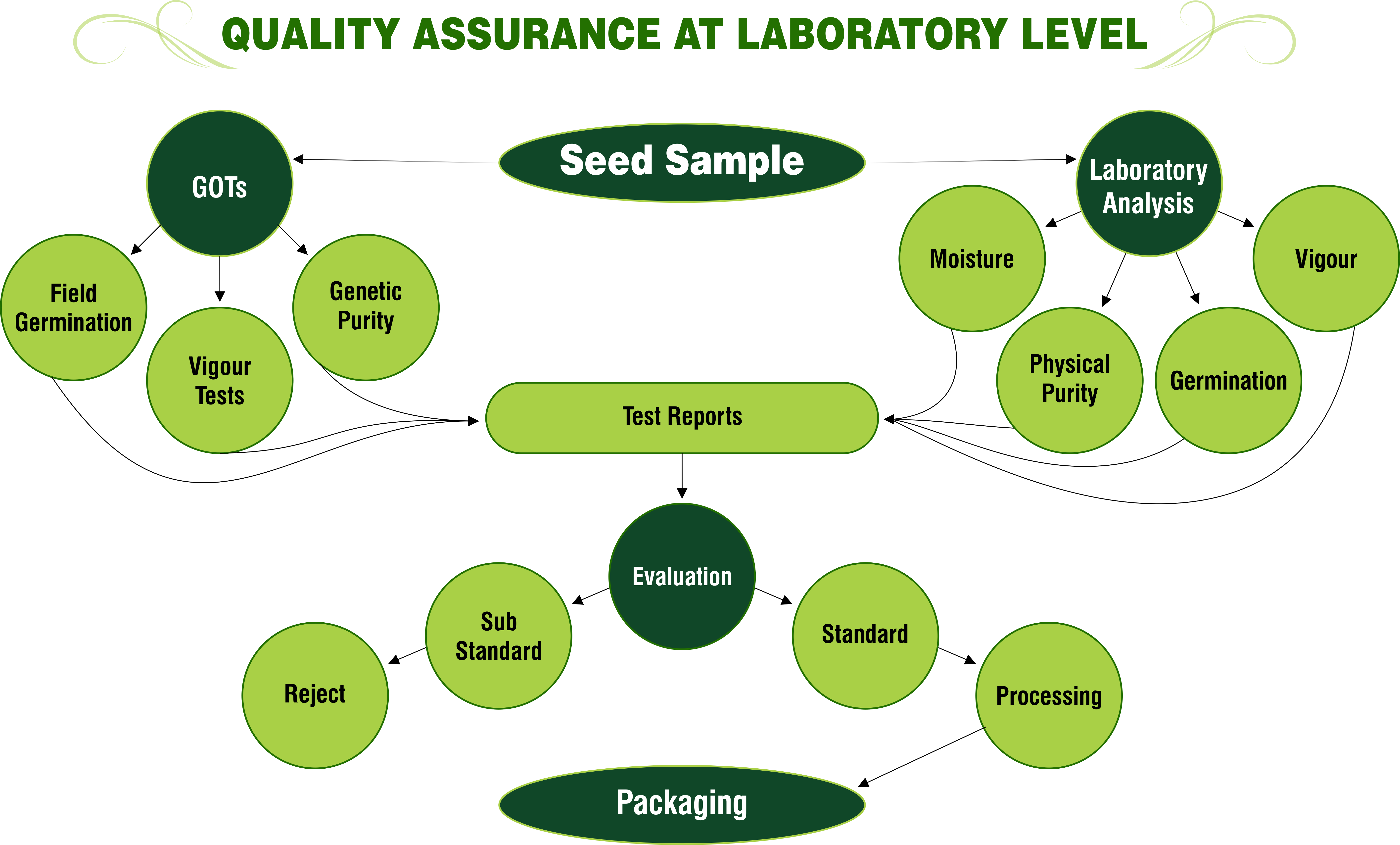 Quality Assurance At Laboratory Level Png - Quality Assurance (5630x3397), Png Download