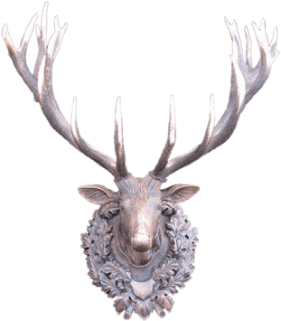 Black Forest Style Carvings & Mounts Elen Importing - Elk (480x360), Png Download