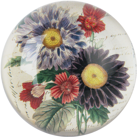 Aster Bouquet Aster Bouquet - Aster (500x500), Png Download