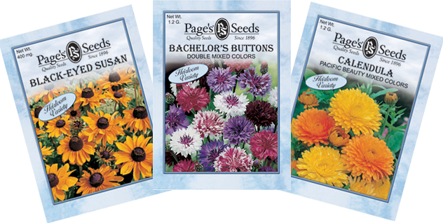Contact - Calendula Pacific Beauty Yates Seeds Sealed Seed Pack (632x318), Png Download