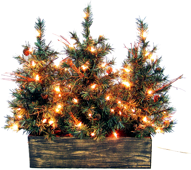 Christmas Outside Png Picture - Christmas Tree (660x660), Png Download