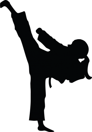 Karate Siluete Png - Fight Like A Girl - Black Square Sticker 3" X 3" (300x431), Png Download