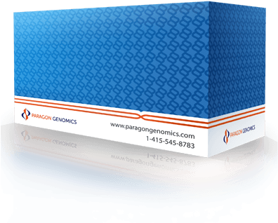 Cleanplex® Brca1 & Brca2 Panel - Paragon Genomics, Inc (400x400), Png Download