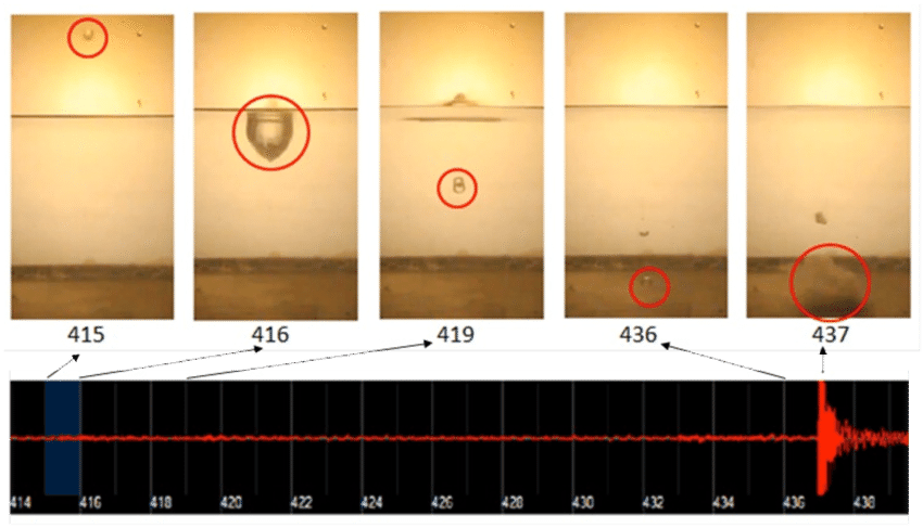 Smelt Droplet Explosion Images And Corresponding Audio - Smelt (850x487), Png Download