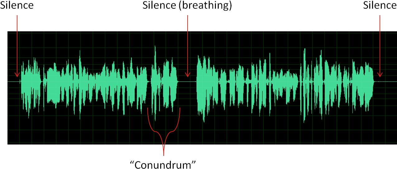 During This Meeting, I Provided Details About How I - Lodgepole Pine (1406x579), Png Download