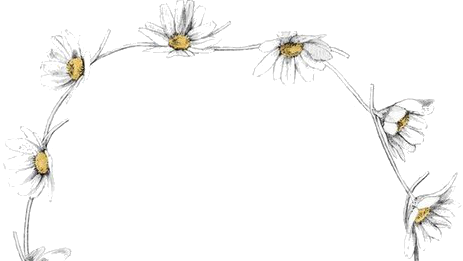 Daisy Crown Drawing - Quotes About Flower Crown (463x261), Png Download
