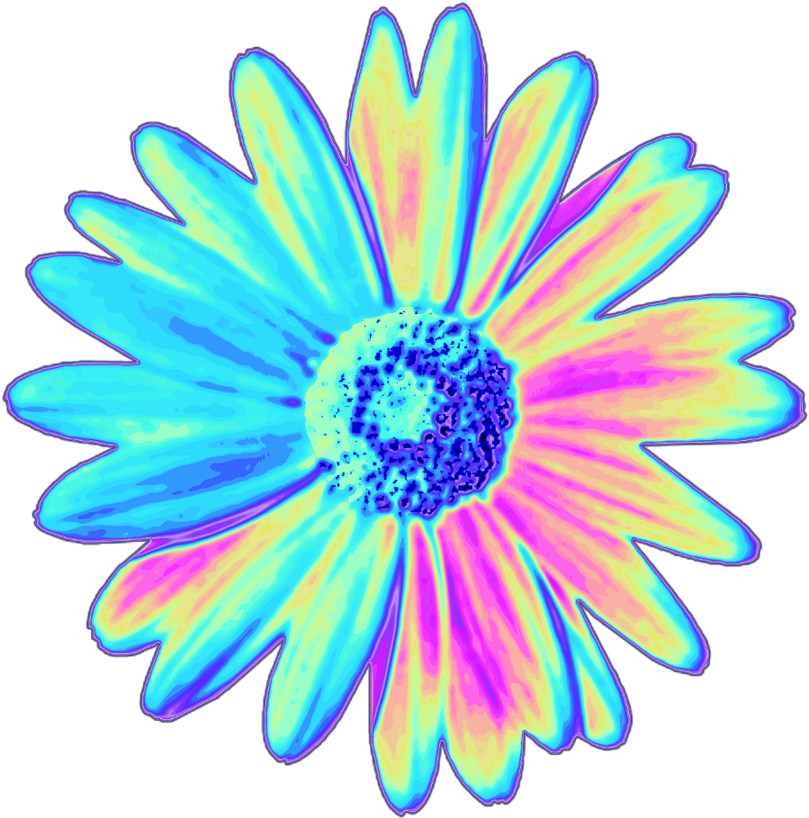 Daisy Holographic Flower Flower Holo Holographic Tumblr - Flower Tumblr Png Stickers (1024x1024), Png Download
