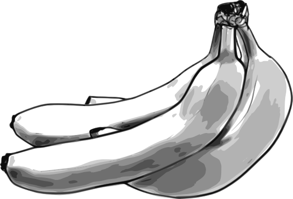 This Free Clipart Png Design Of Banana Bunch Clipart - Bananas Sketch Shower Curtain (600x407), Png Download