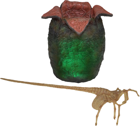 Agrandir - Facehugger Alien Neca (559x501), Png Download