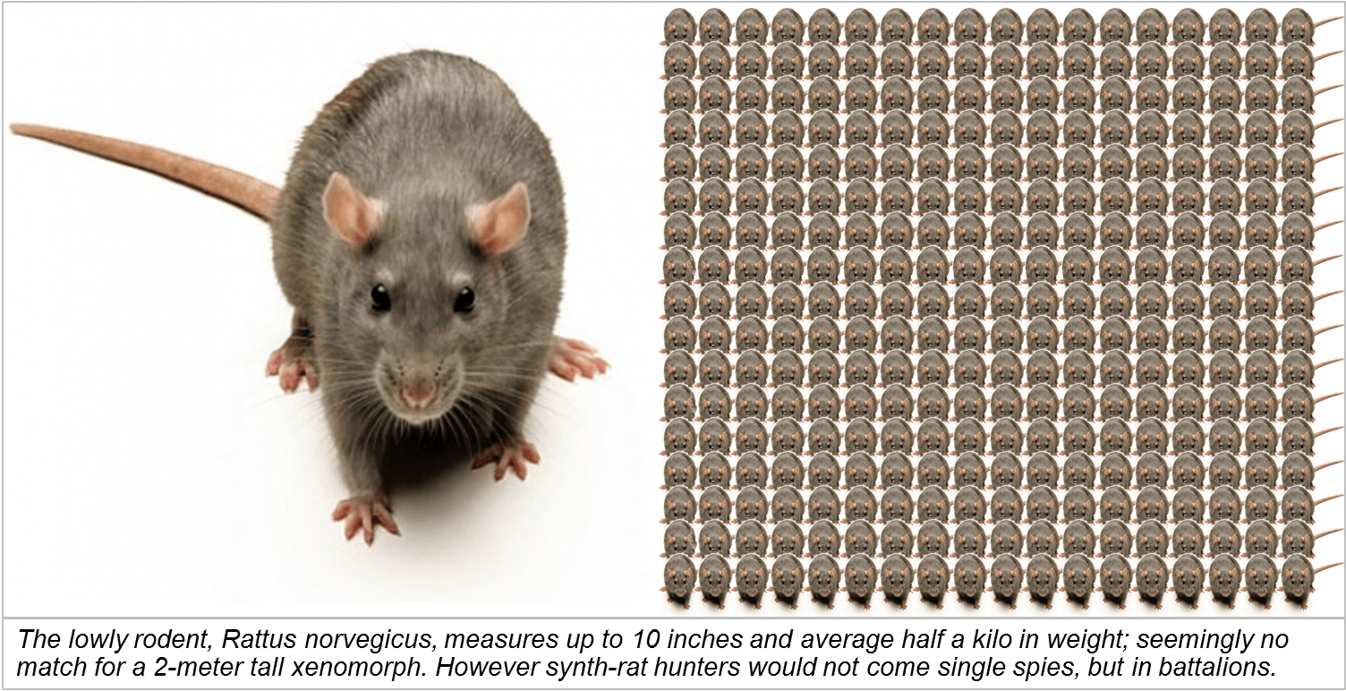 If You Are A Station Commander With A Vicious Beastie - Rat (1503x778), Png Download