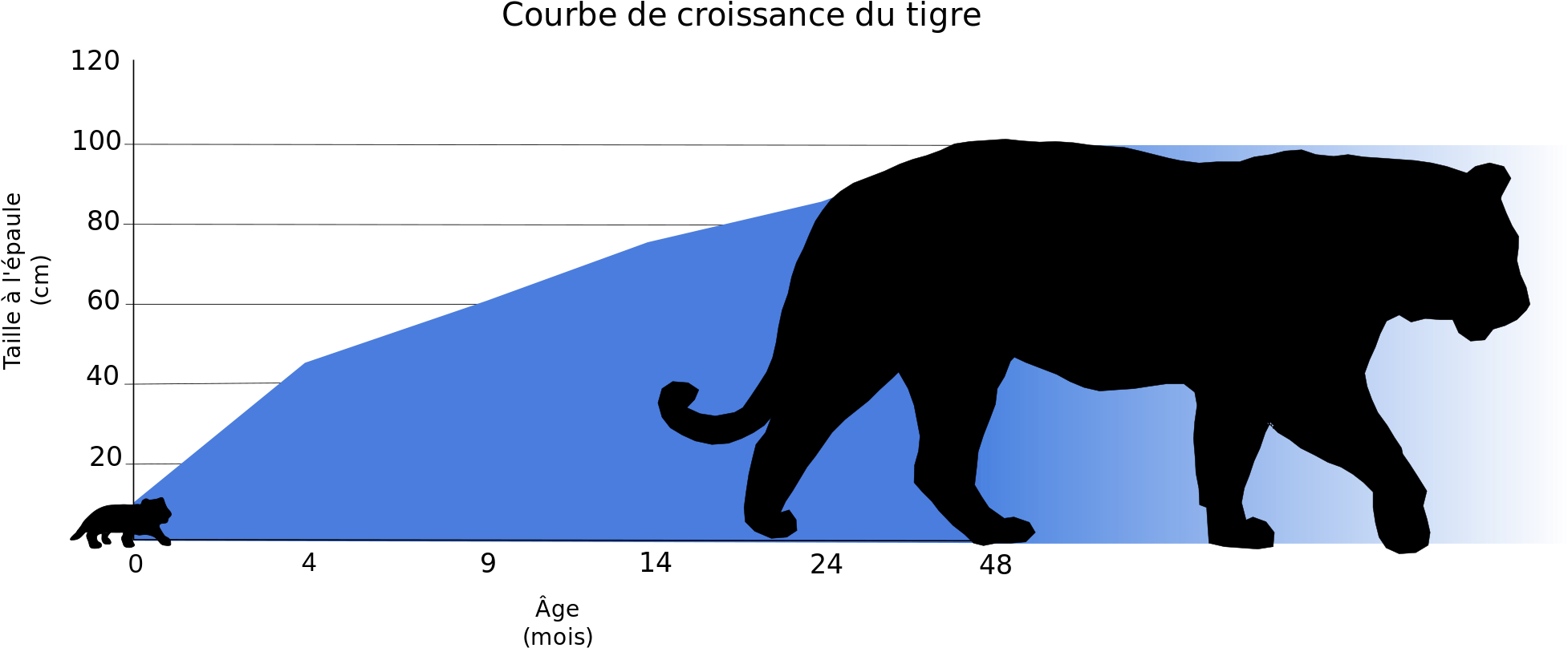 Open - Croissance Du Tigre (2000x876), Png Download