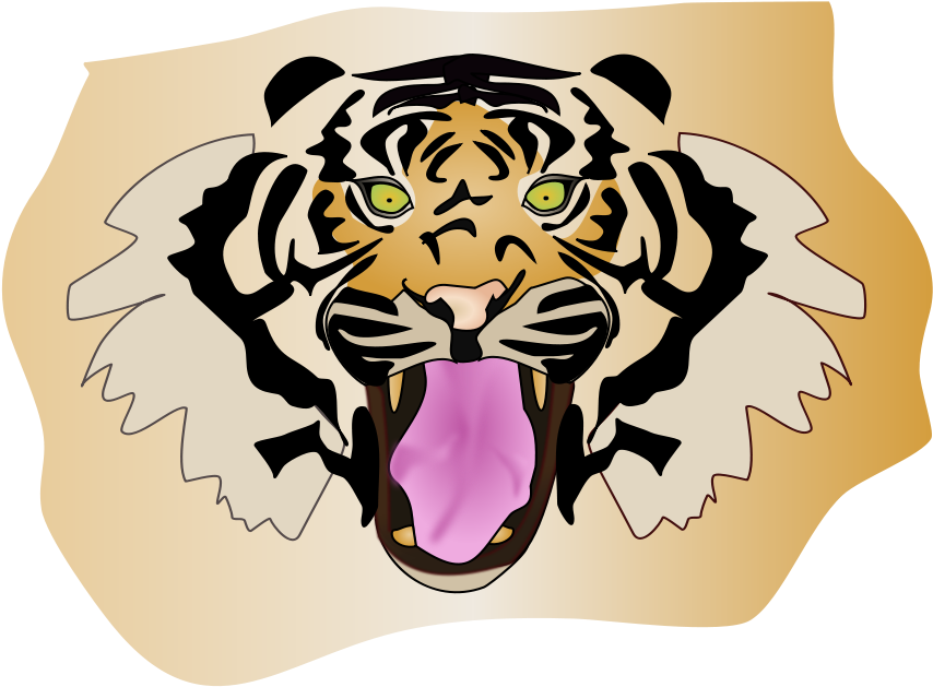 Tigre - Tiger (900x892), Png Download