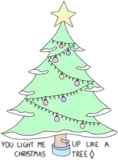 Christmas Png - Christmas Tree (500x500), Png Download