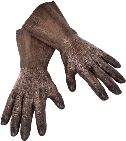 Wookie Costume Hands - Chewbacca Gloves (555x555), Png Download