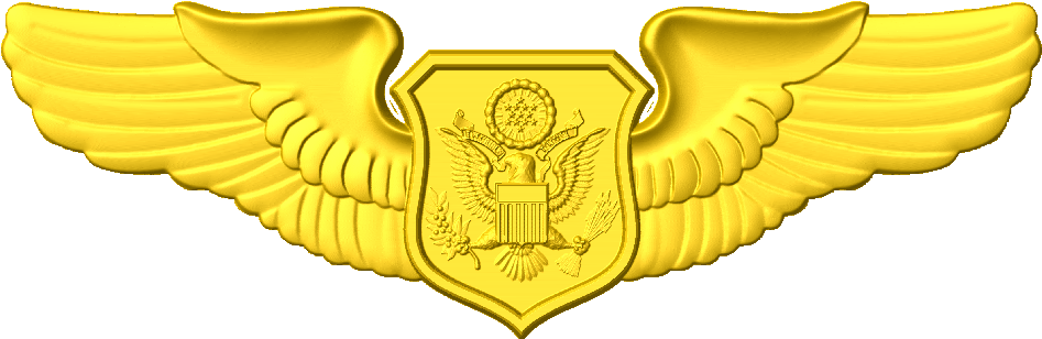 Officer Aircrew A 1 - Pilot Badges (963x325), Png Download