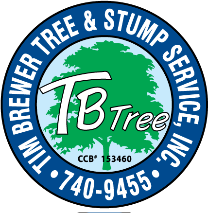 Solar Rechargeble Fan Light (450x446), Png Download