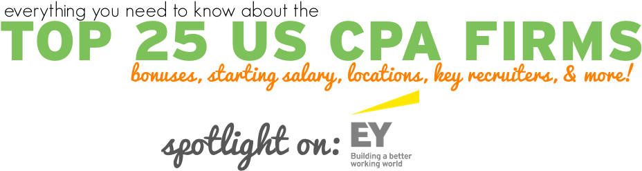 Everything You Need To Know About The Top 25 Cpa Firms - Ipsas Explained: A Summary Of Standards And Principles (960x250), Png Download