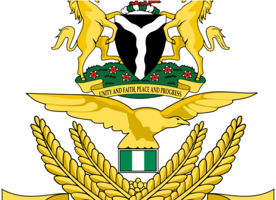 The Nigerian Air Force Has Said That Its Air Task Force - Coat Of Arms Nigeria Logo (600x400), Png Download