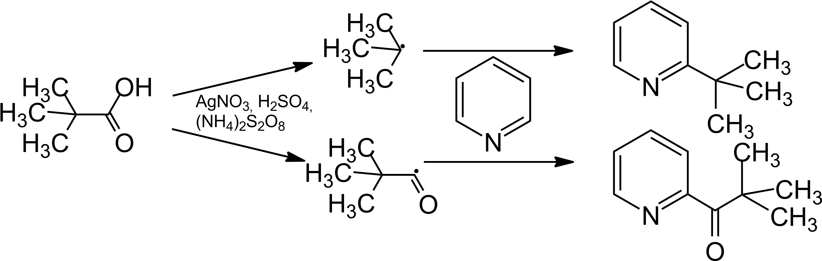 File - Minisci-mech - Minisci Alkylation (3215x1028), Png Download