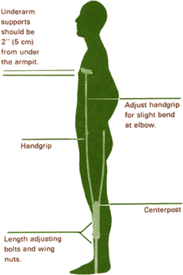 Description - Http - //kidshealth - Schn - Health - - Diagram (361x547), Png Download