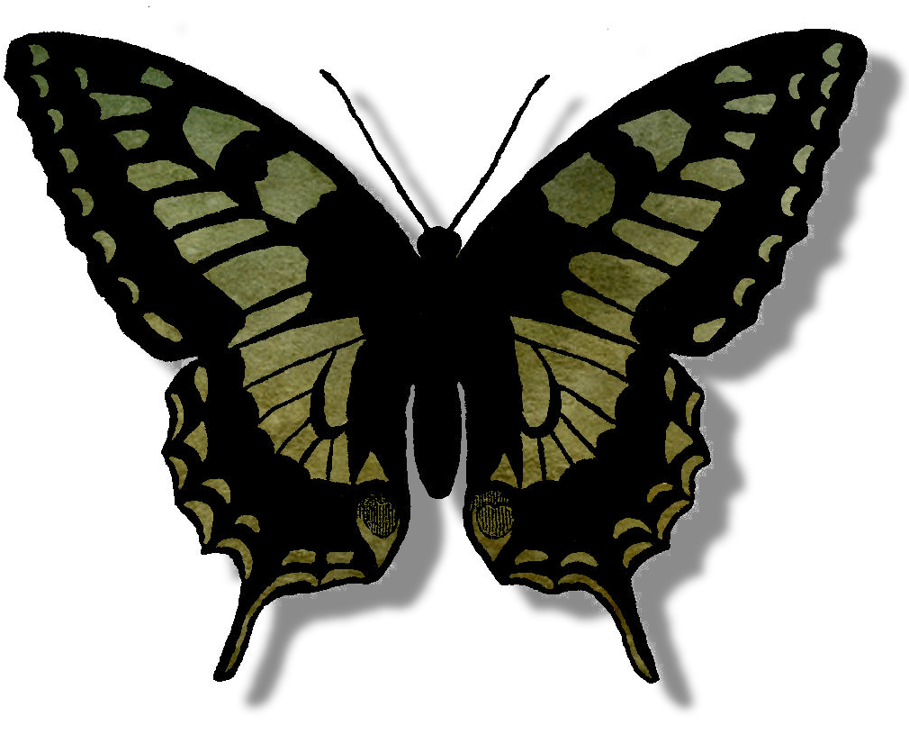 Butterfly Scrapbook Element - Butterfly (1073x854), Png Download