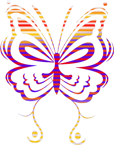 Butterfly - Brush-footed Butterfly (1024x768), Png Download