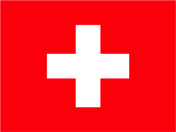Flag Of Switzerland Logo Png Transparent - Cross (2400x1800), Png Download