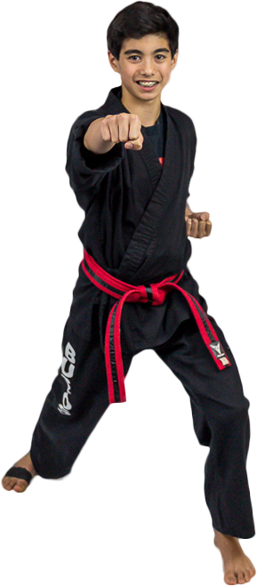 Teen Karate Boy - Teen Boy Martial Arts (289x659), Png Download
