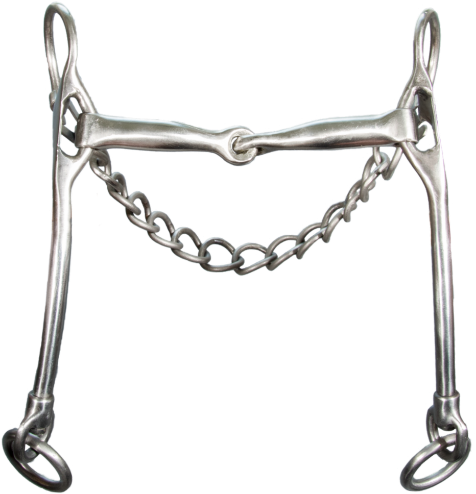 Titanium Curb Bit - Karlslund Titanium Curb Bit (1200x1065), Png Download