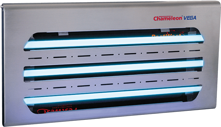 Chameleon Vega (800x600), Png Download