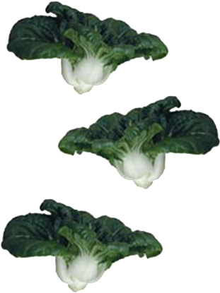 Commercial - Cruciferous Vegetables (510x510), Png Download