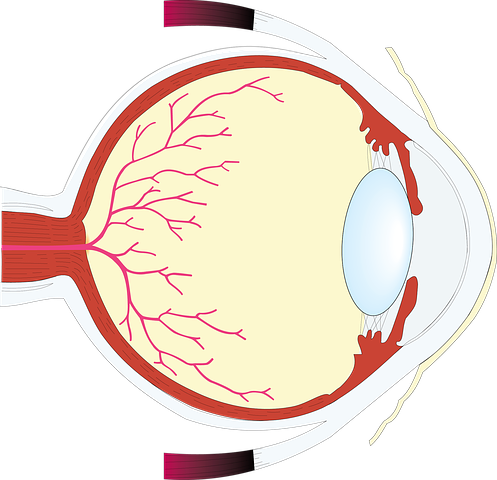 Headaches Excessive And Intense Computer Usage Can - Eye (497x480), Png Download