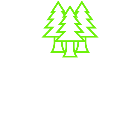 Christmas Tree (1200x400), Png Download