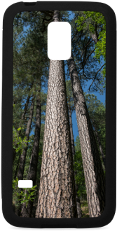 Tall Pine Trees Mt Lemmon Arizona Rubber Case For Samsung - Arizona (500x500), Png Download