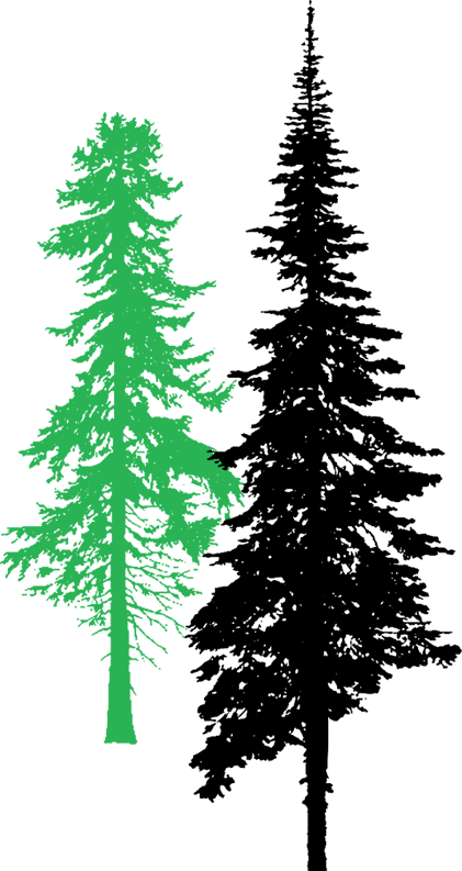 Mccullough Bros Is A Family Run Business Owned By Brothers - Artistic Weavers Lgcb2001-2020 Lodge Cabin Raccoon (421x793), Png Download