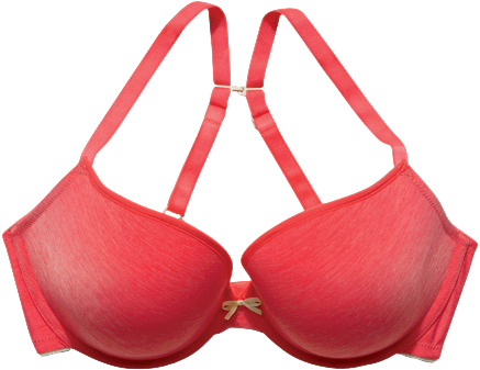 Cleo By Panache Koko Muse Plunge T-shirt Bra - Push-up (600x400), Png Download