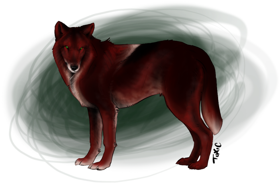 Redwolf - Red Fox (1023x724), Png Download