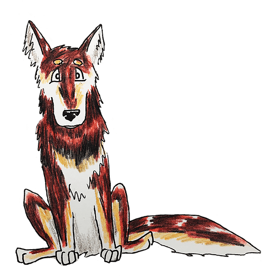 Are You A Red Wolf - Czechoslovakian Wolfdog (600x776), Png Download