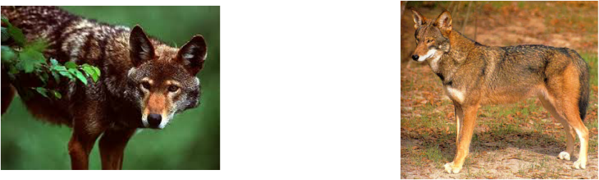 Picture - Centimetre (839x252), Png Download