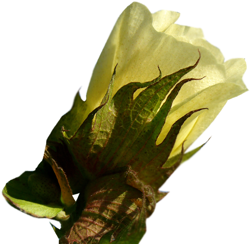 Infographic (633x526), Png Download